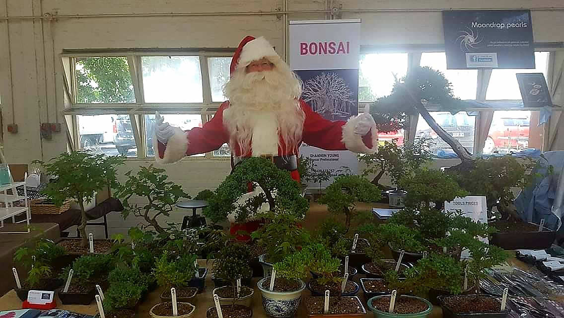 young bonsai canberra christmas markets